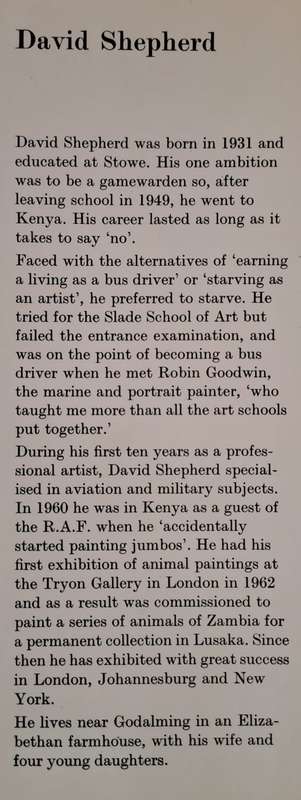 An Artist in Africa - David Shepherd (Hardcover)