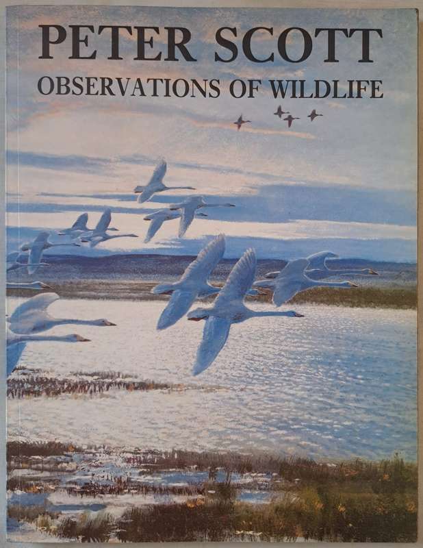 Peter Scott Observations of Wildlife - Phaidon . Oxford (Softcover)