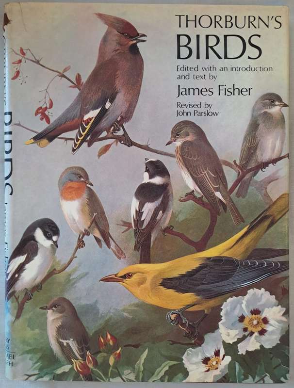 Thorburns Birds - James Fisher (Hardcover)