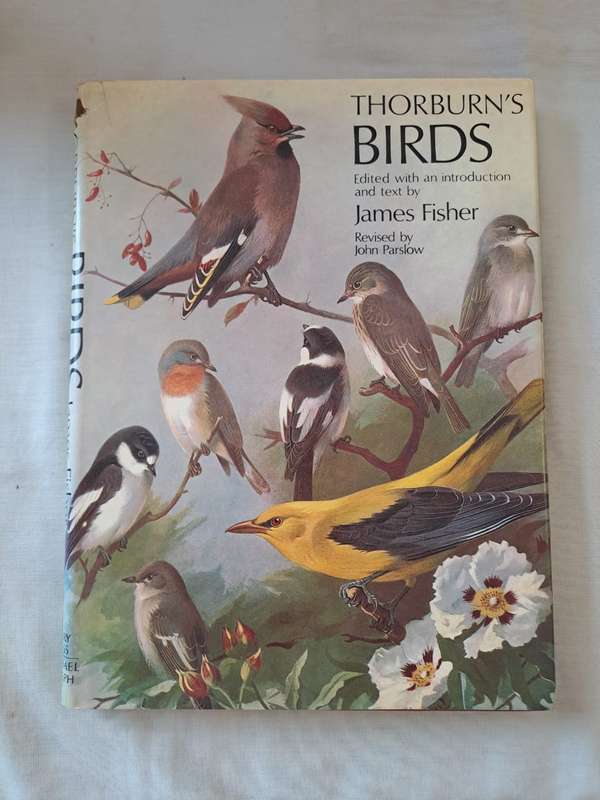 Thorburns Birds - James Fisher (Hardcover)