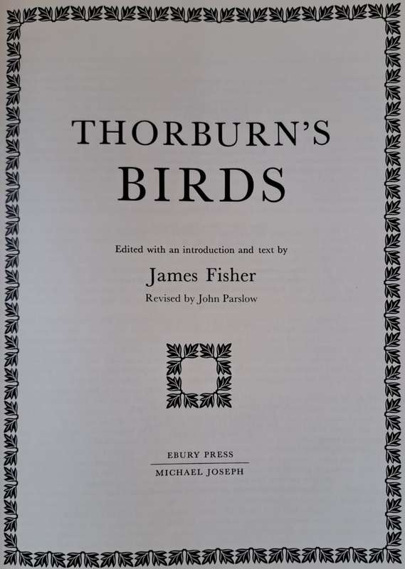 Thorburns Birds - James Fisher (Hardcover)