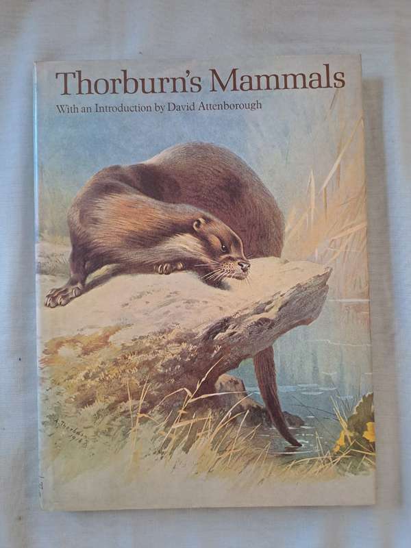Thorburn's Mammals - David Attenborough (Hardcover)