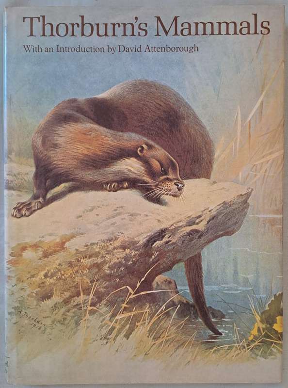 Thorburn's Mammals - David Attenborough (Hardcover)