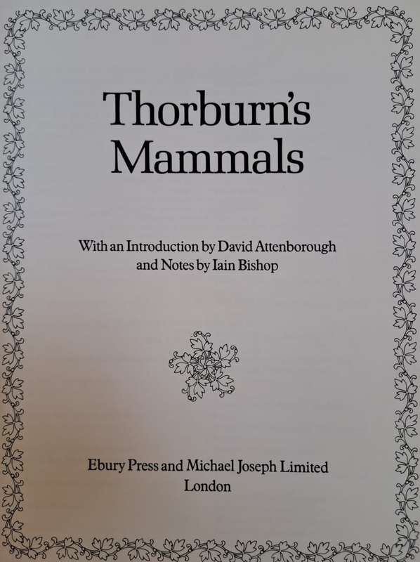 Thorburn's Mammals - David Attenborough (Hardcover)