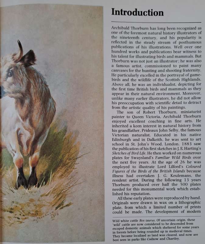 Thorburn's Wildlife - Jeremy Cardew (Hardcover)