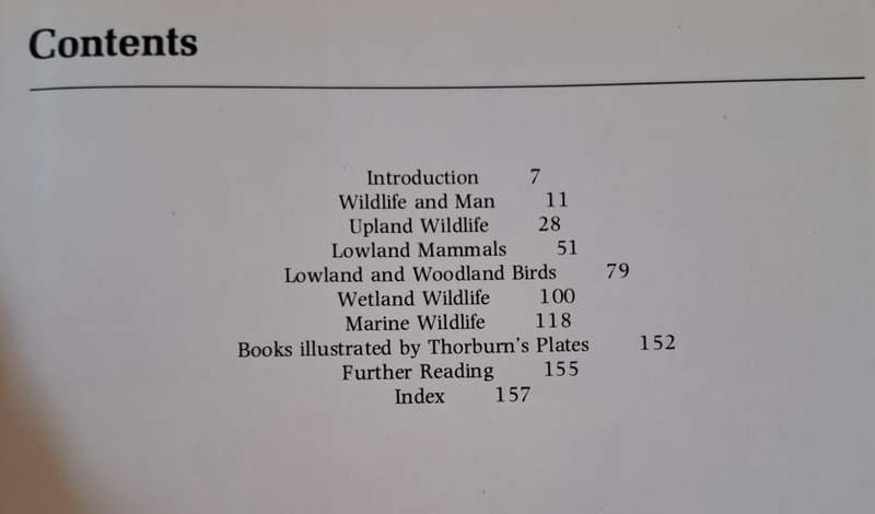 Thorburn's Wildlife - Jeremy Cardew (Hardcover)