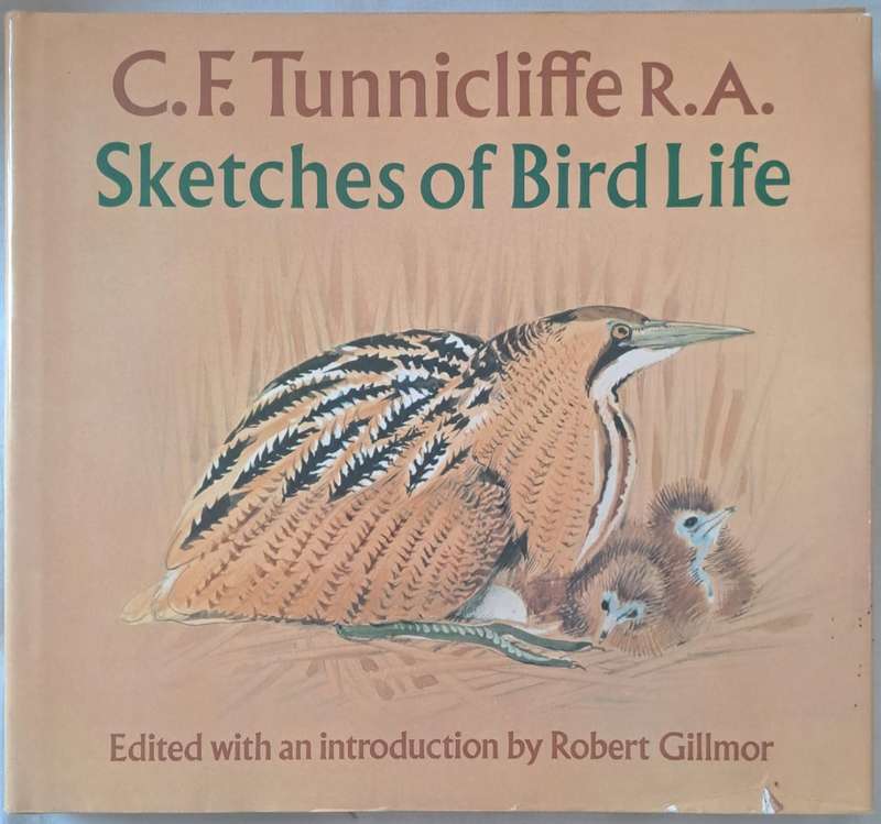 Sketches of bird life - Robert Gillmor (Hardcopy)