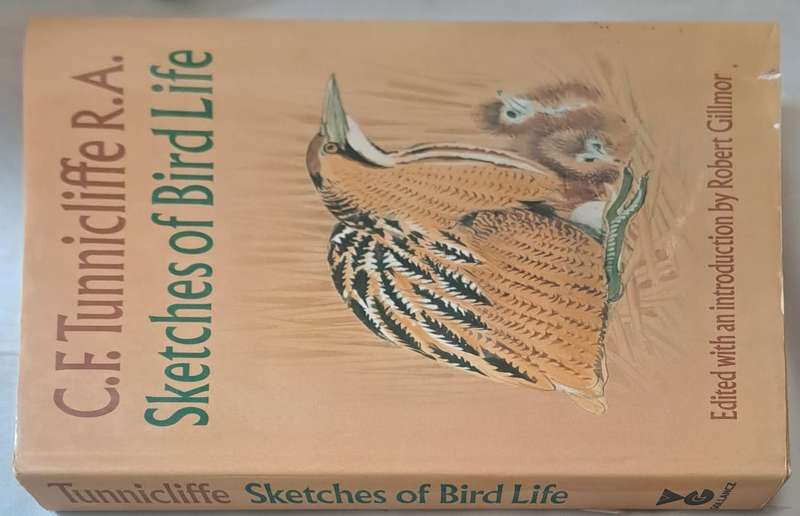 Sketches of bird life - Robert Gillmor (Hardcopy)