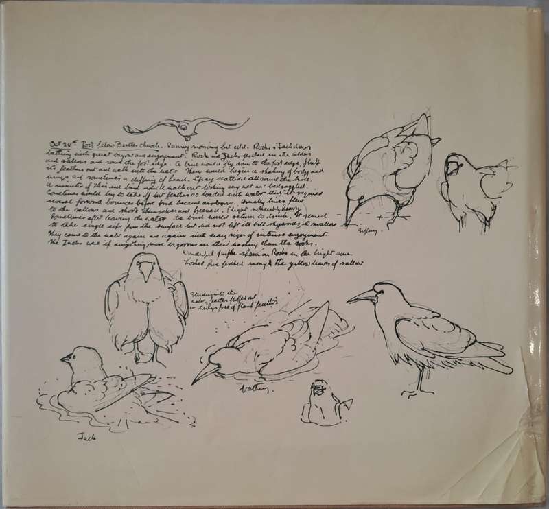 Sketches of bird life - Robert Gillmor (Hardcopy)