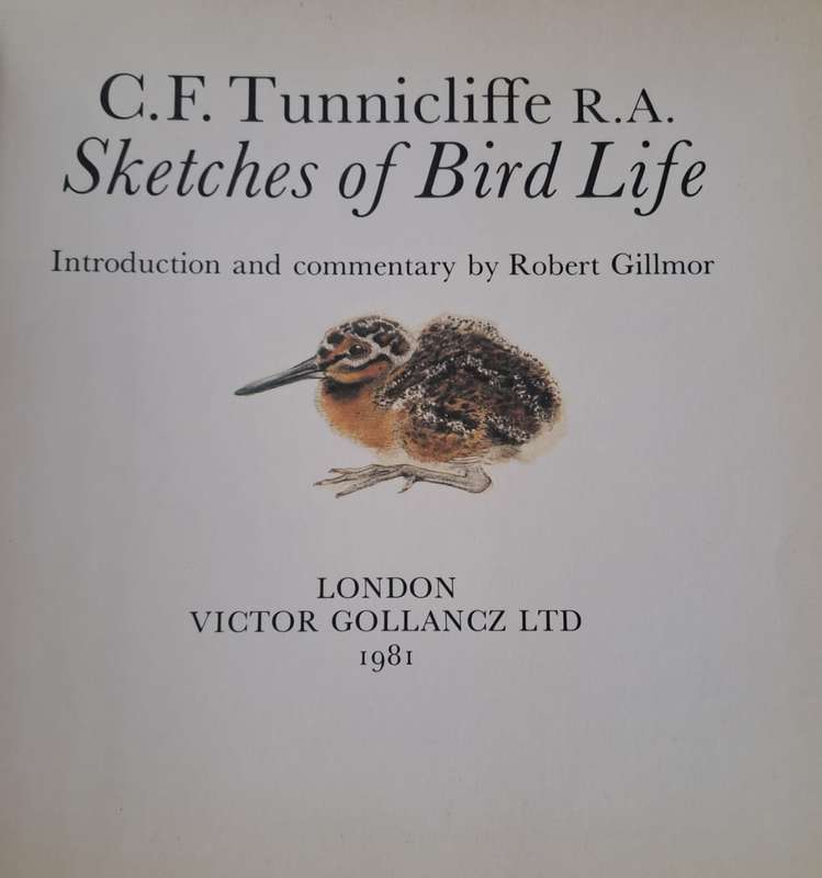 Sketches of bird life - Robert Gillmor (Hardcopy)