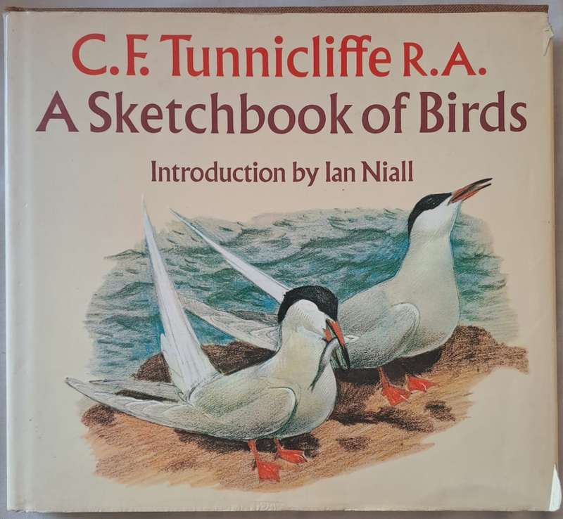 A Sketchbook of Birds - Ian Niall (Hardcopy)