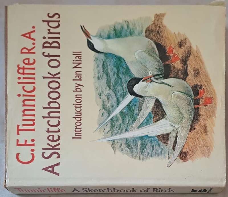 A Sketchbook of Birds - Ian Niall (Hardcopy)