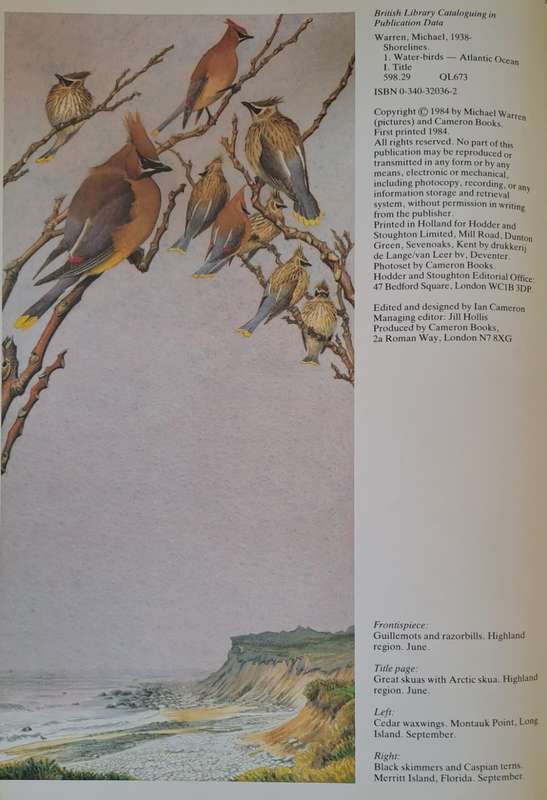 Shorelines, Birds at the waters edge - Michael Warren (Hardcover)