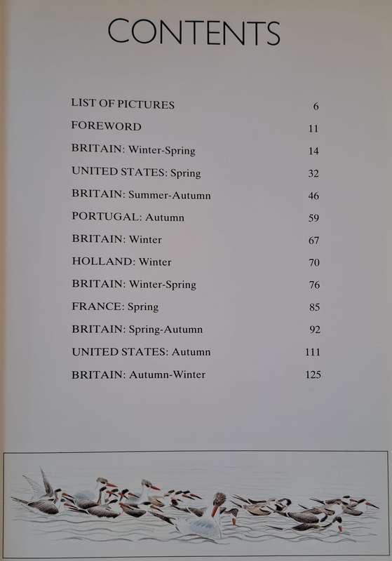 Shorelines, Birds at the waters edge - Michael Warren (Hardcover)