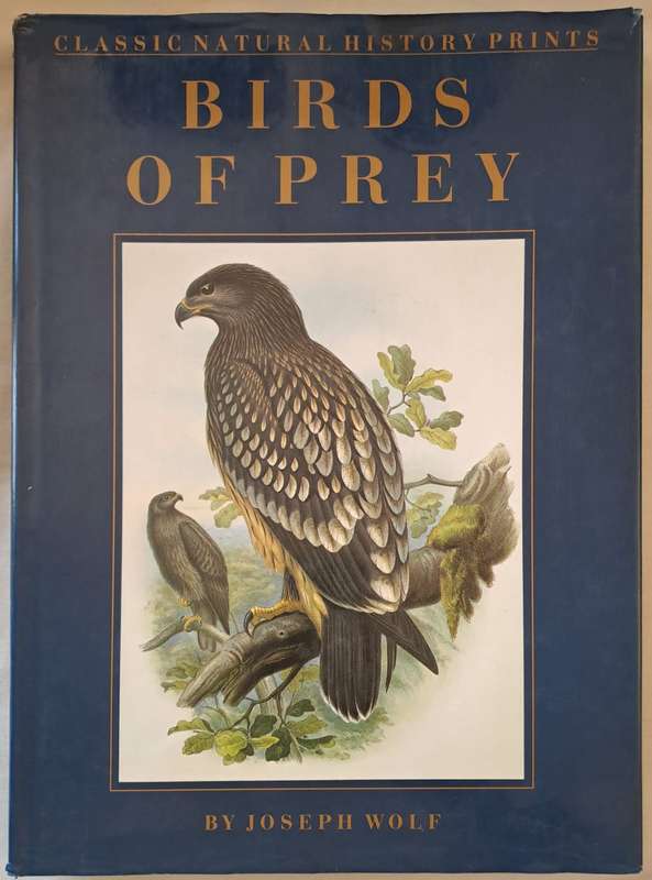 Birds of Prey - Joseph Wolf (Hardcover)