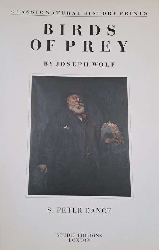 Birds of Prey - Joseph Wolf (Hardcover)