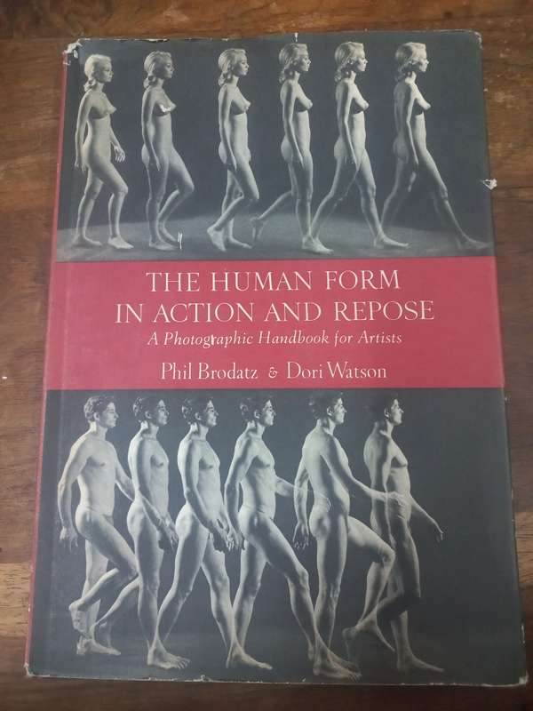 The human form in action and repose - Phil Brodatz (Hardcover)