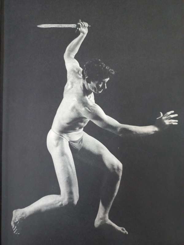 The human form in action and repose - Phil Brodatz (Hardcover)