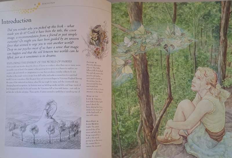 Watercolour Fairies - David Riche (Paperback)