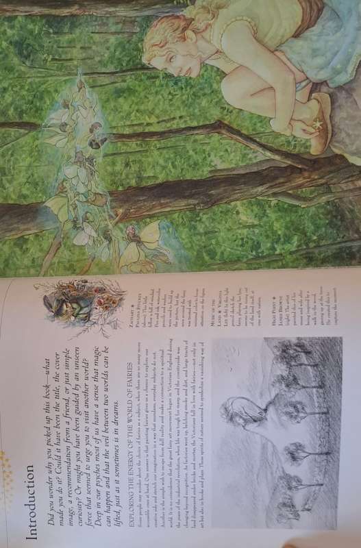 Watercolor Fairies - David Riche (Paperback)