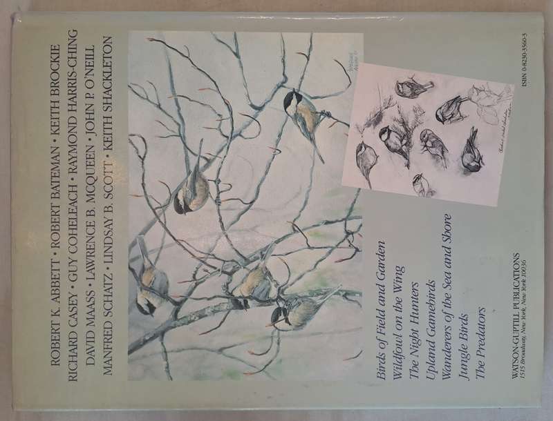 Painting Birds - Susan Rayfield (Hardcover)