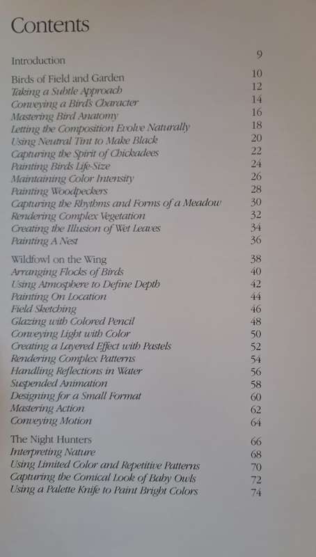 Painting Birds - Susan Rayfield (Hardcover)