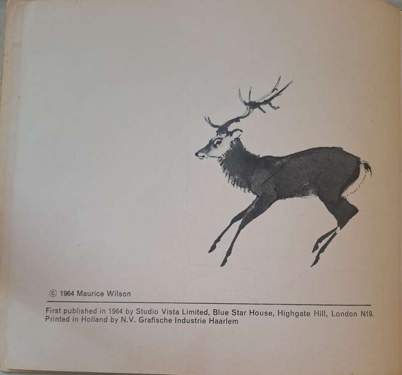 Animals -Maurice Wilson (Paperback)