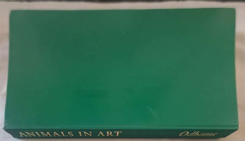 Animals in art - Denys Kay-Robinson (Hardcover)