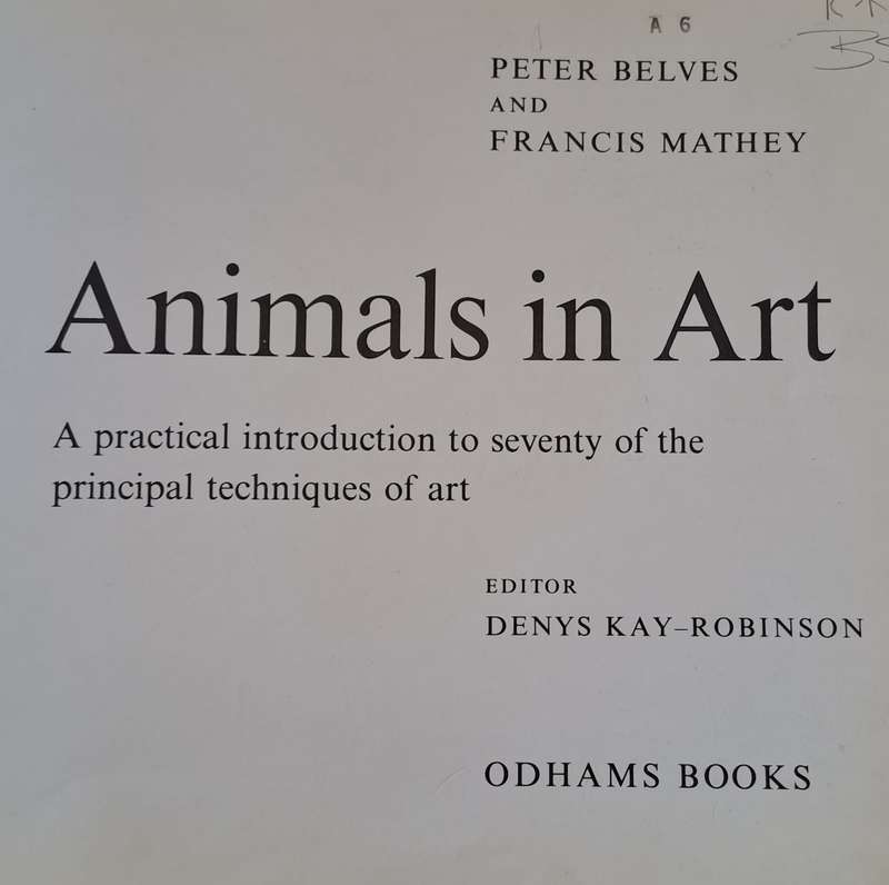 Animals in art - Denys Kay-Robinson (Hardcover)