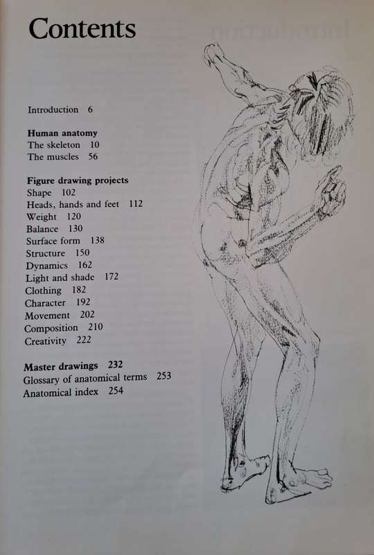 Figure Drawing and Anatomy for the Artist - John Raynes (Paperback)