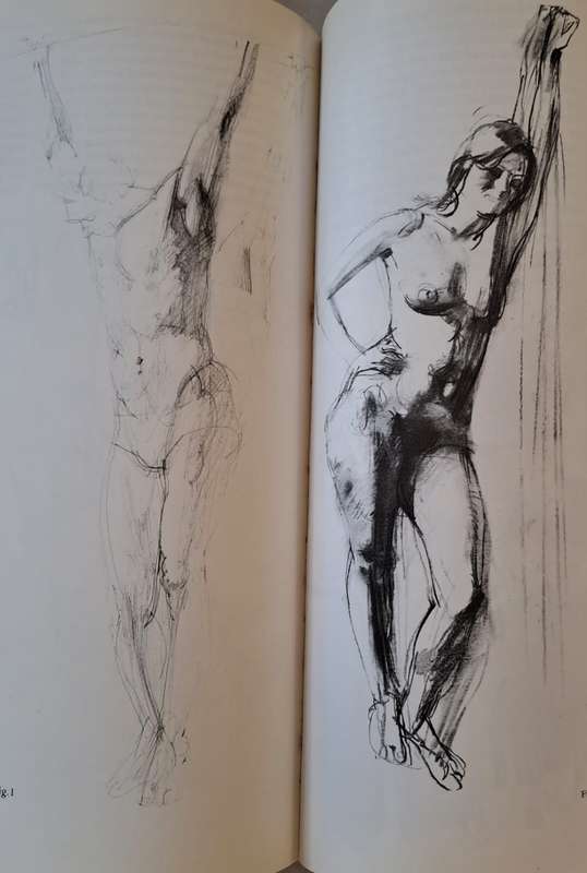 Figure Drawing and Anatomy for the Artist - John Raynes (Paperback)