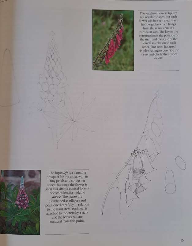 Flower Painting - Jenny Rodwell (Paperback)
