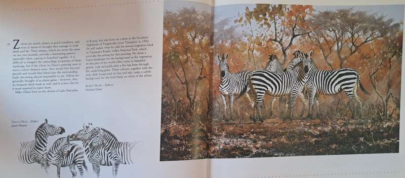 African Wildlife in art - David Tomlinson (Hardcover)