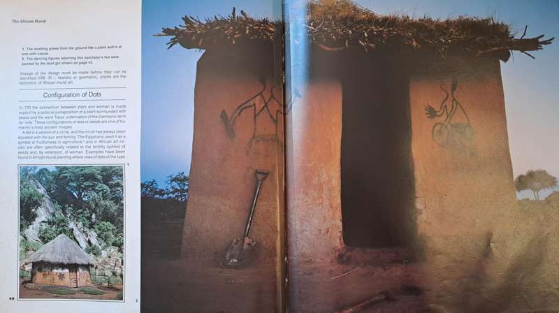 The african Mural - Paul Changuion (Hardcover)