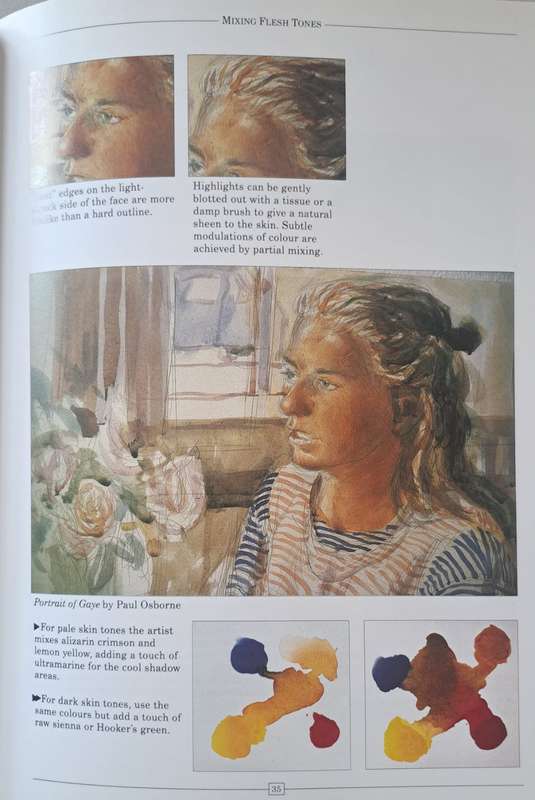 The watercolour Painters - Angela Gair (Hardcover)