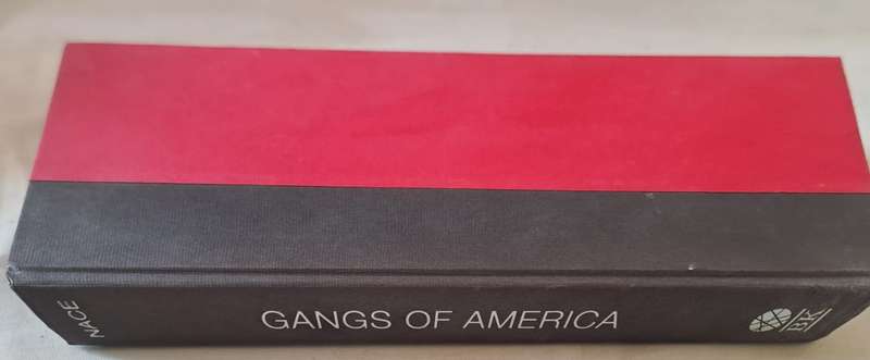 Gangs of America - Ted Nace (Hardcover)