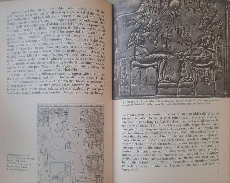 Tutankhamen - Christiane Desroches Noblecount (Hardcover)
