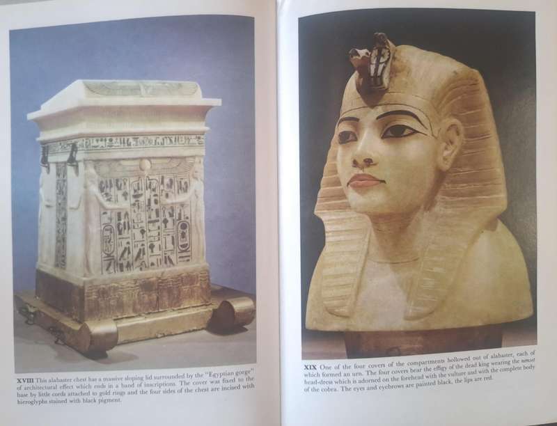 Tutankhamen - Christiane Desroches Noblecount (Hardcover)