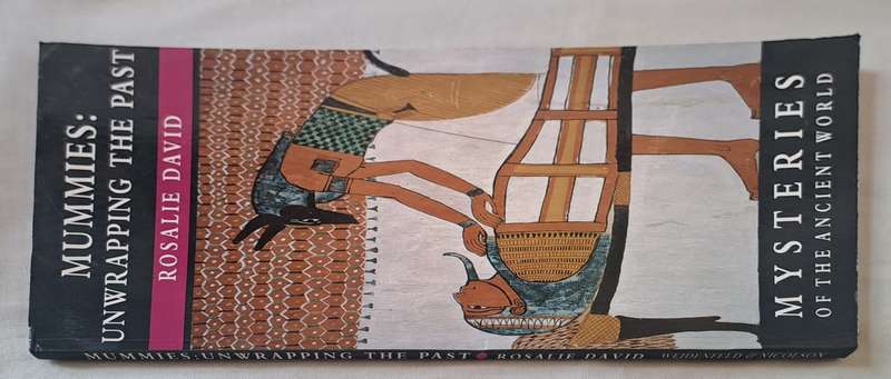Mummies : Unwrapping the past - Rosalie David (Paperback)