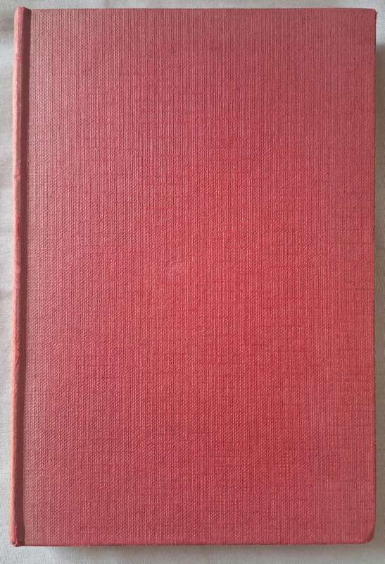 Darkness Visible - Walton Hannah (hard cover with no dj)