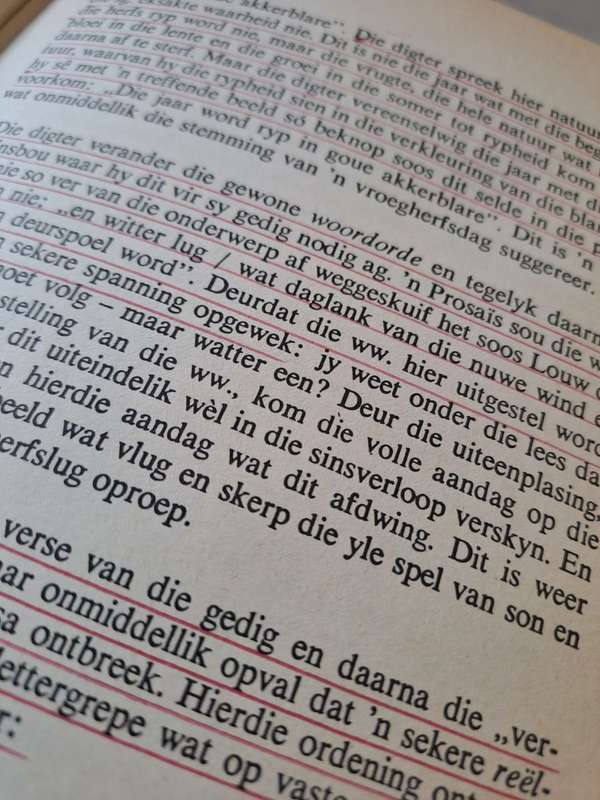 Woordkuns - M. Nienaber-Luitingh ( Hard cover no dj)