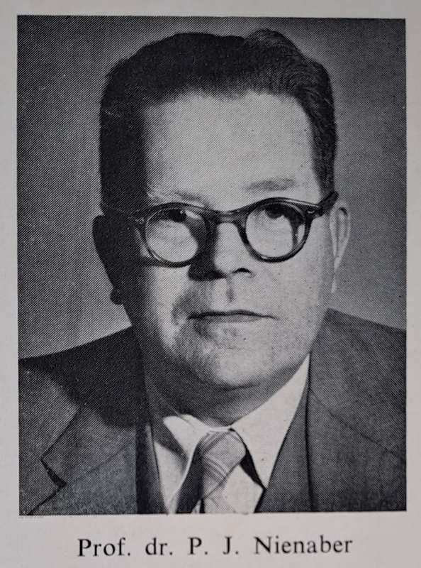 Die wonder van Afrikaans - Dr. P. J. Nienaber (paperback)