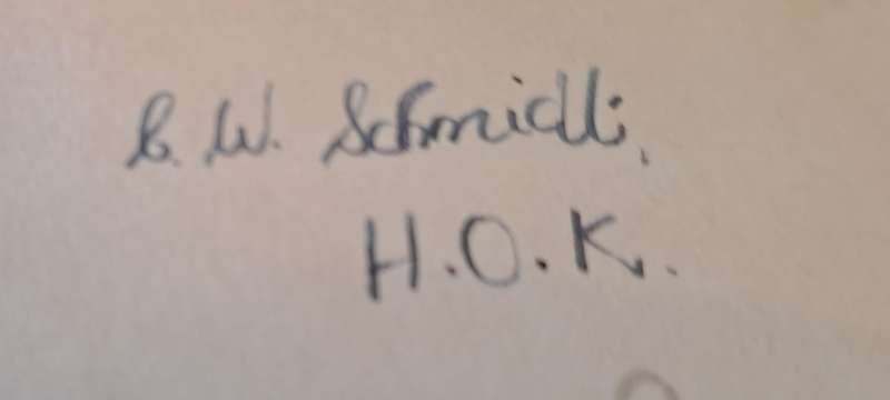 Taal en Taalverskynsels - Dr. H. v. d. M. Scholtz (hard cover with no Dj)