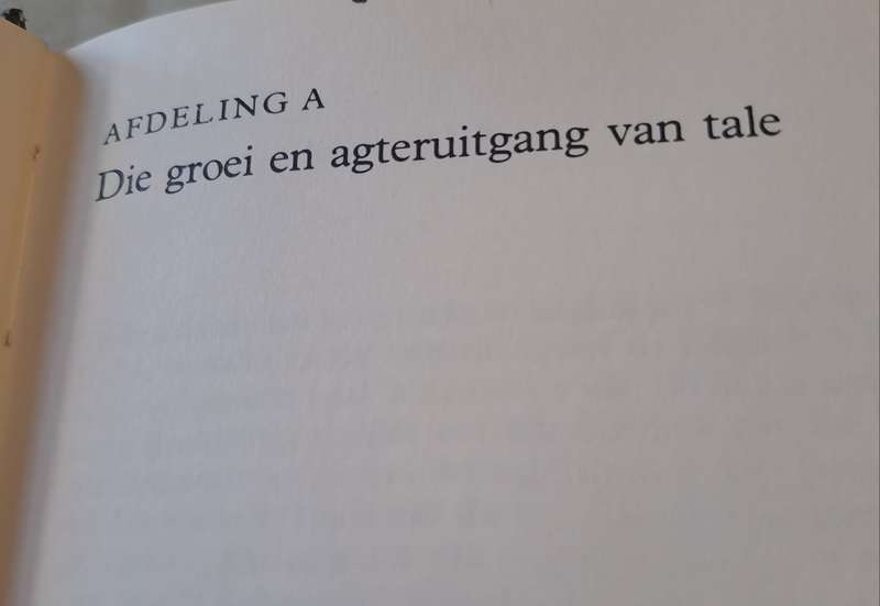Tuiste in eie Taal - J.C Steyn (hard cover with dj)