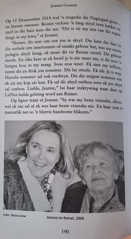 N lewe vol sinne - Jeanne Goosen (paperback)