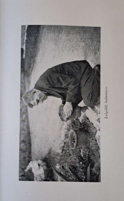 C. Louis Leipoldt Eensame Veelsydige - P. J. Nienaber (hard cover with no dj)