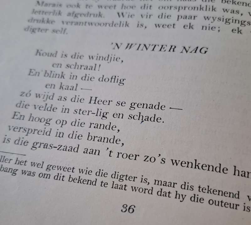 Die Groot Eensame - P. J. Nienaber (hard cover with no Dj)