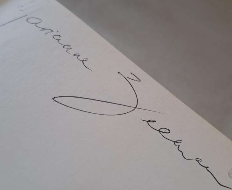 Die groot Verlange - Leon Rousseau (hard cover with dj)