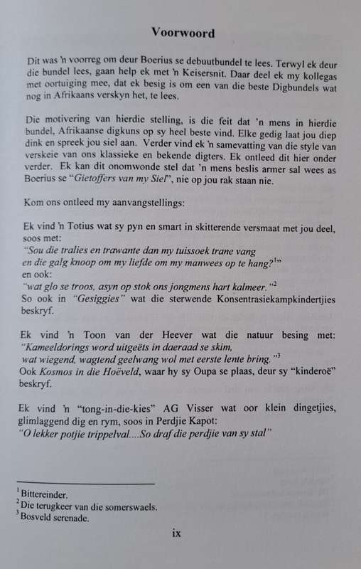 Gietoffers van my Siel - Boerius (paperback)