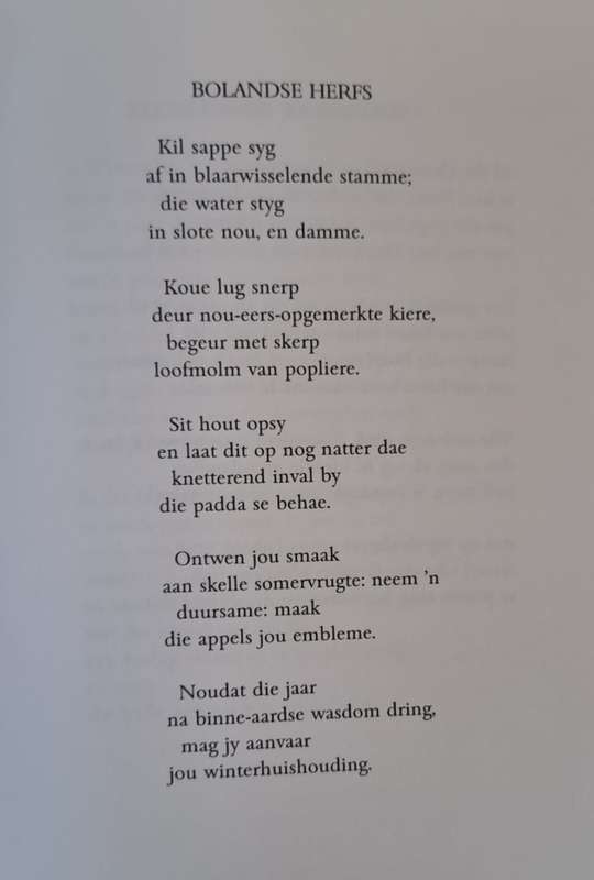 Enklaves van die Lig - Peter Blum (hard cover with no Dj)